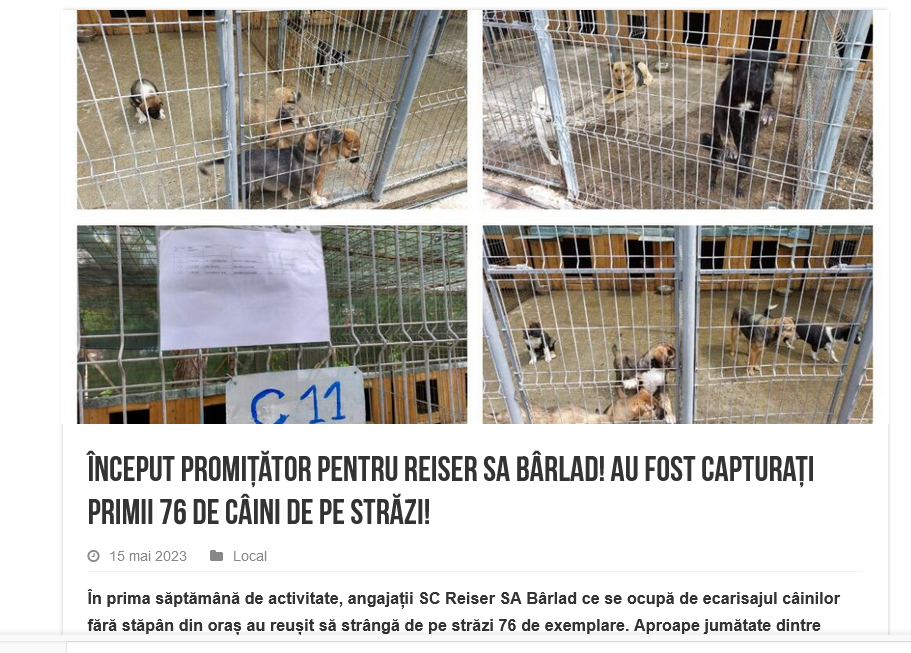 Început promițător pentru Reiser SA Bârlad! Au fost capturați primii 76 de câini de pe străzi!