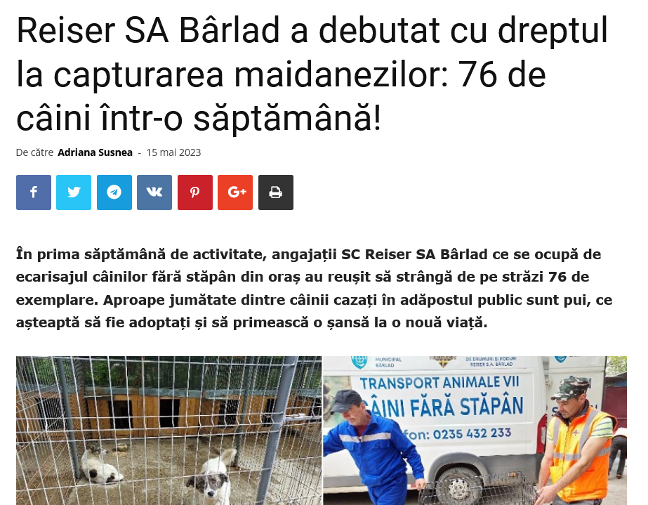 Reiser SA Bârlad a debutat cu dreptul la capturarea maidanezilor: 76 de câini într-o săptămână!
