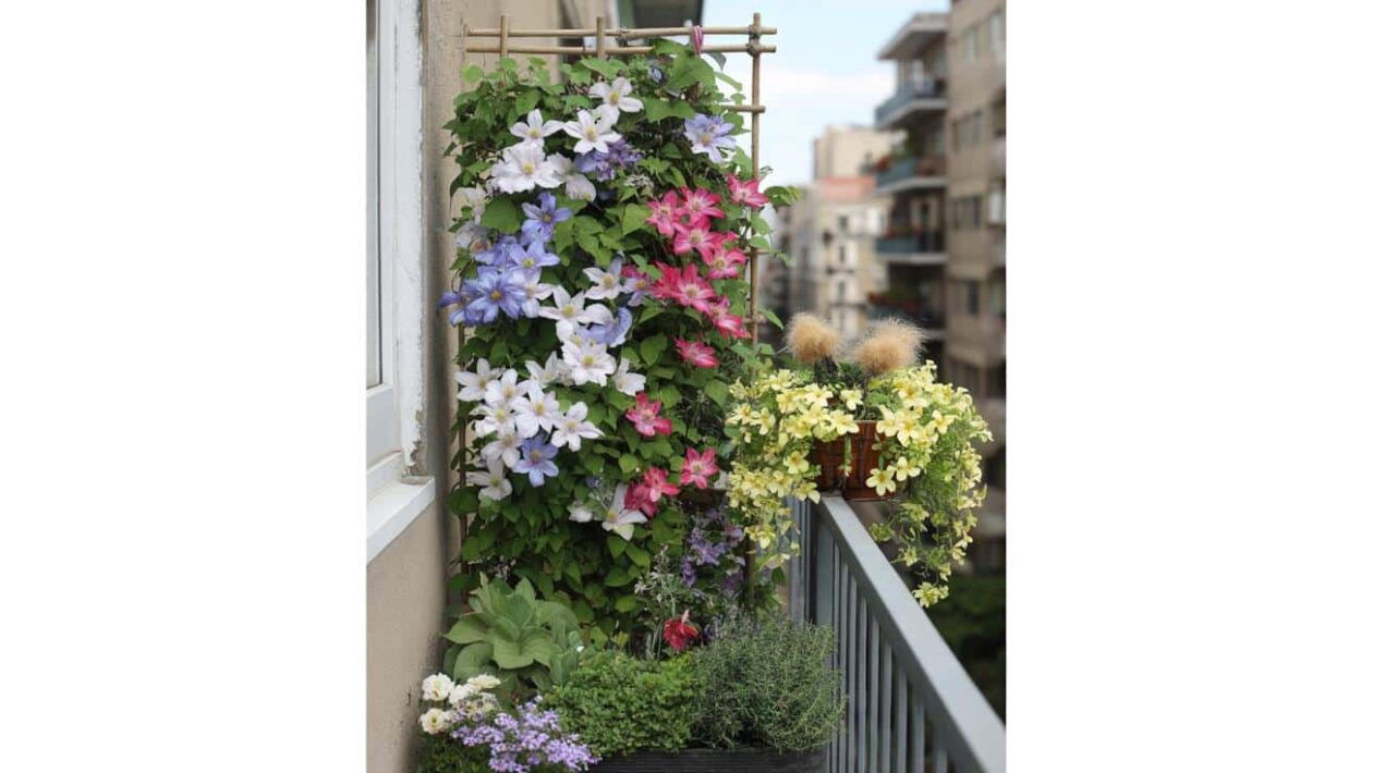 prindere transformă