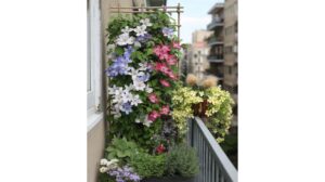Mini-sistemul de prindere transformă orice balcon într-un perete luxuriant de flori