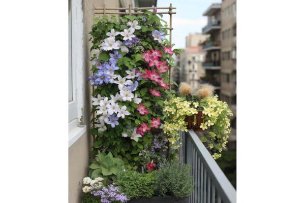 prindere transformă