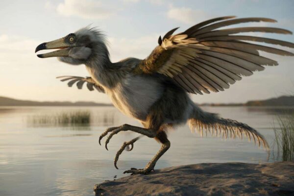 adevărat dinozaurii