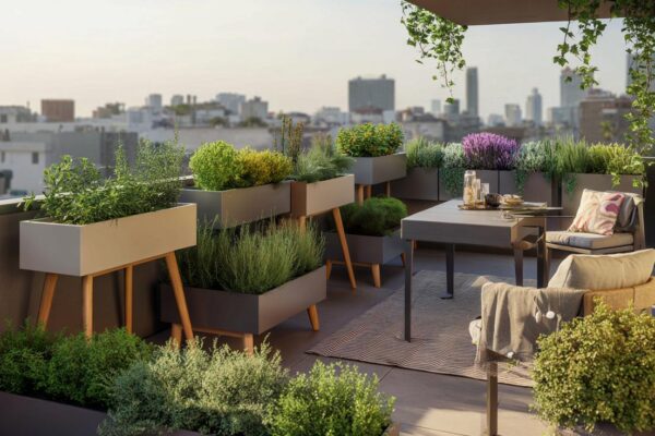 ghivecele plictisitoare